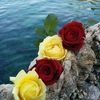 iyadiyad5384