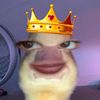 user_sunflower77777