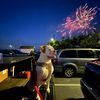 ouramericanbulldogs