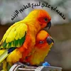 wmjgdu