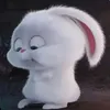 j4ckno1