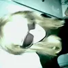 belohka_01