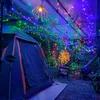 campingnhaosin