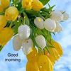 shanojkrishna258
