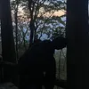 tinhyeulaconacmong