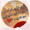 jutt15571