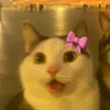 fluffydeath5
