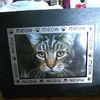 catloverofall