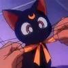 gothicbatcat