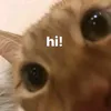 hawyiiiq