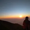 amrh_elv