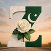 zafariqbal76652