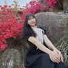 mydienduong2505