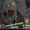 lonelyman1526
