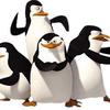 madagascarpenguin69420