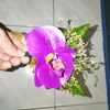 chandramagar320