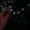 lyrics_with_humu