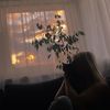 liise.420