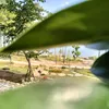 binh704