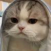ancxyz_mlem
