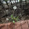 fuuckup101.exe