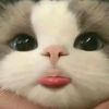 jk_mjk02