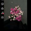 userkqzertrl56