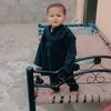 my.tiger.824