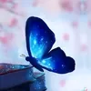 abuhuzaifa493