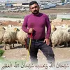 barzan_qasab_