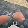 stein.045
