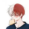 the_todoroki_shoto
