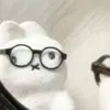 akakaashii