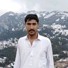 146syed