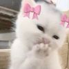 m_3lbloos7i