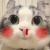 linh_suyyyy201