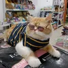 yunaw_petshop