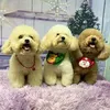tranthihoa16021983