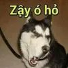 user1h1drx35gi