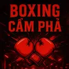 hoaboxing17