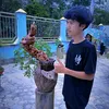 al.fer_