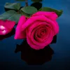 touch_my_soul_