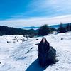 carlaa_pjj