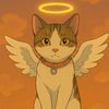 micho._02