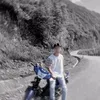 phungthepao