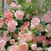 user.htr12
