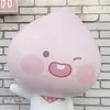 fucchi46.49