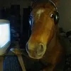 not_thaddeu