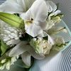jds_92