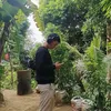 kentmabunga